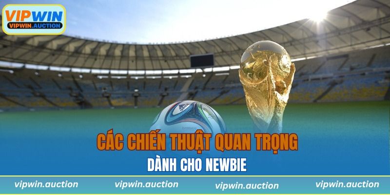 Các chiến thuật quan trọng dành cho newbie