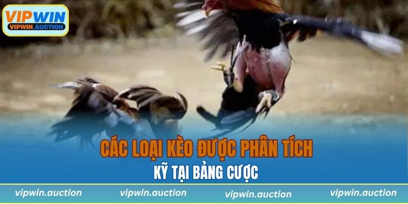 Các loại kèo được phân tích kỹ tại bảng cược