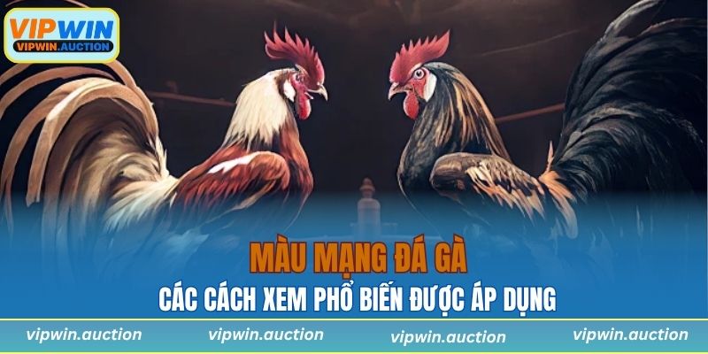 Các cách xem màu mạng gà đá phổ biến được áp dụng tại các đấu trường chuyên nghiệp