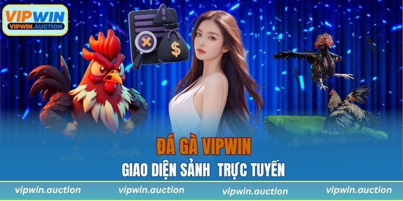 Giao diện sảnh đá gà VIPWIN trực tuyến