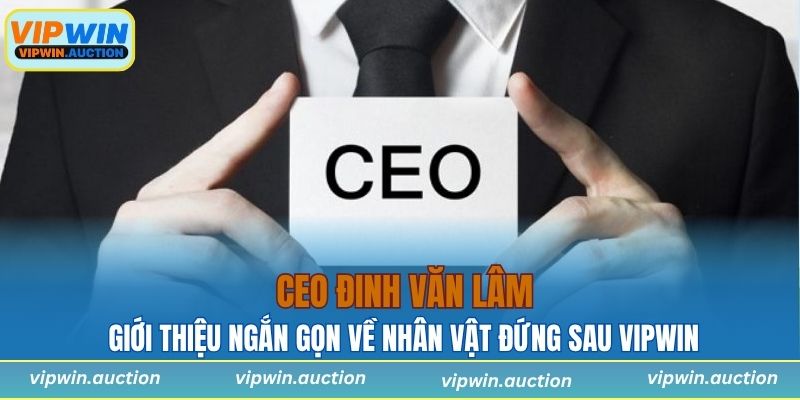 Giới thiệu ngắn gọn về nhân vật đứng sau VIPWIN – CEO Đinh Văn Lâm
