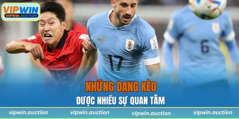 Những dạng kèo được nhiều sự quan tâm