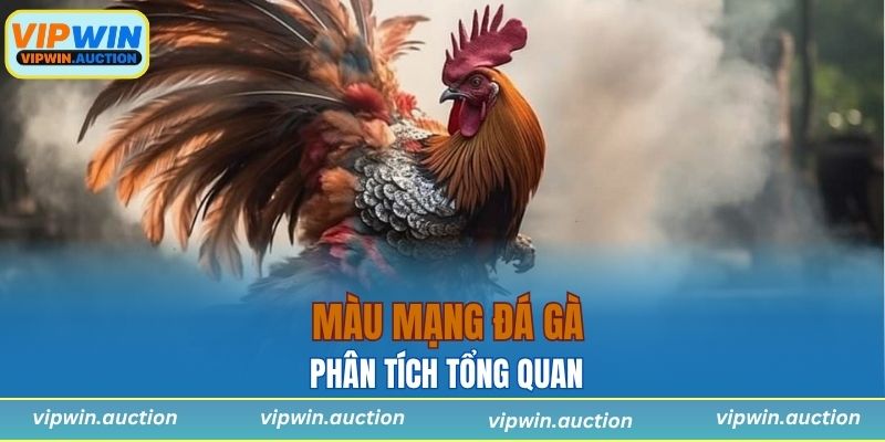 Phân tích tổng quan về màu mạng gà đá giúp người chơi nắm rõ yếu tố ngũ hành