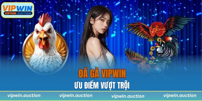 Ưu điểm vượt trội của sảnh game tại thương hiệu VIPWIN