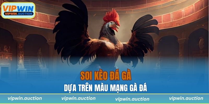 VIPWIN hướng dẫn cách soi kèo hiệu quả dựa trên màu mạng gà đá